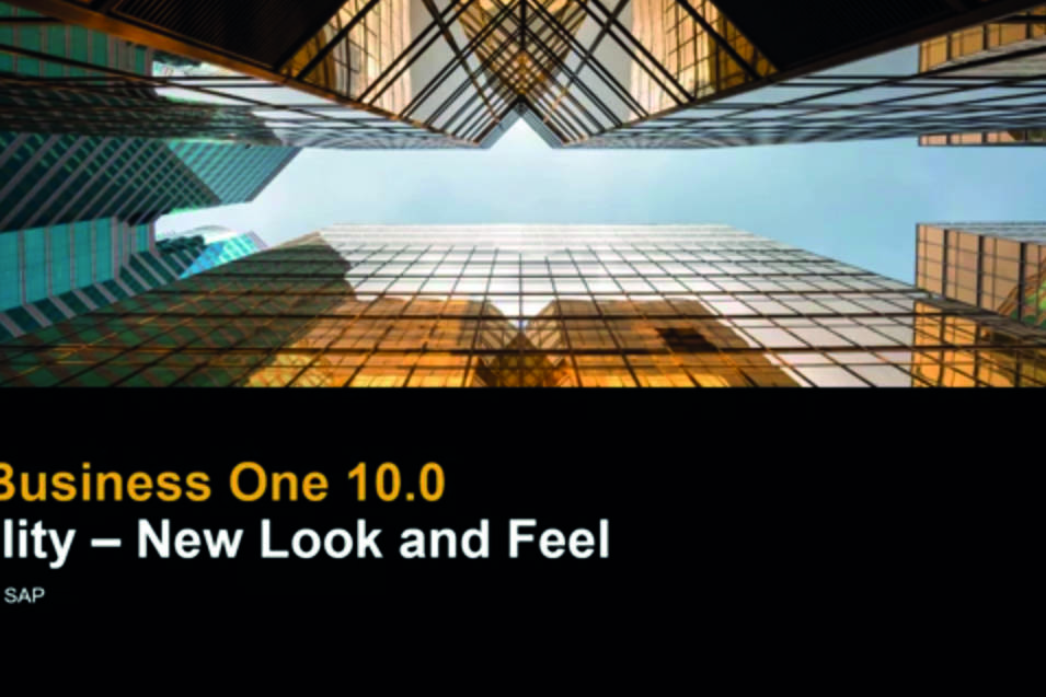 SAP Business One 10.0 Usability