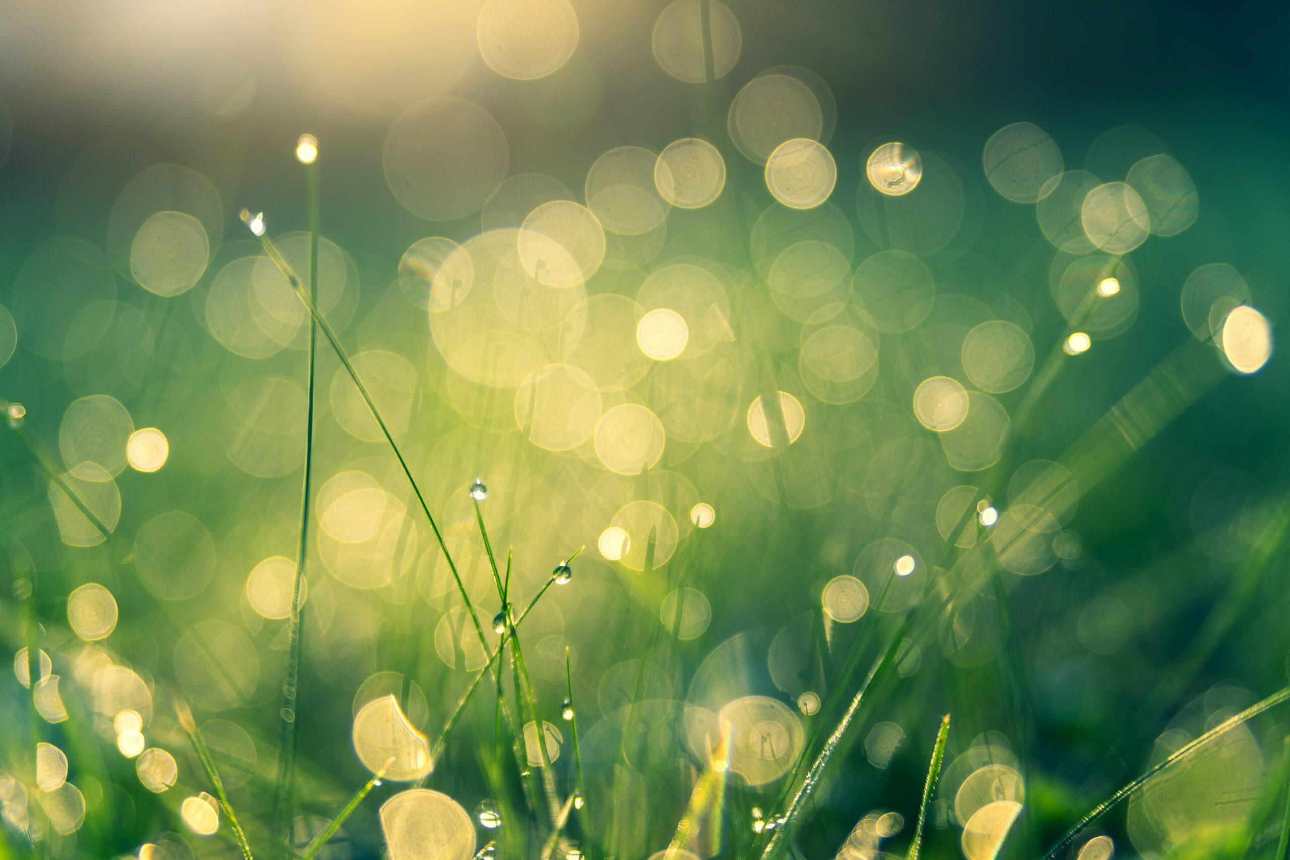 mails - green it